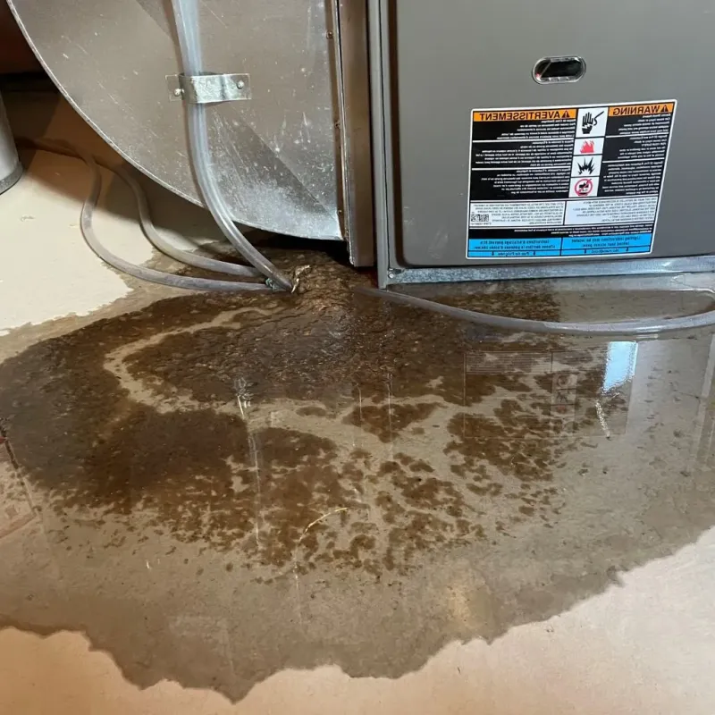 Pipe Burst and Leak Restoration in Pine Mountain Club, CA